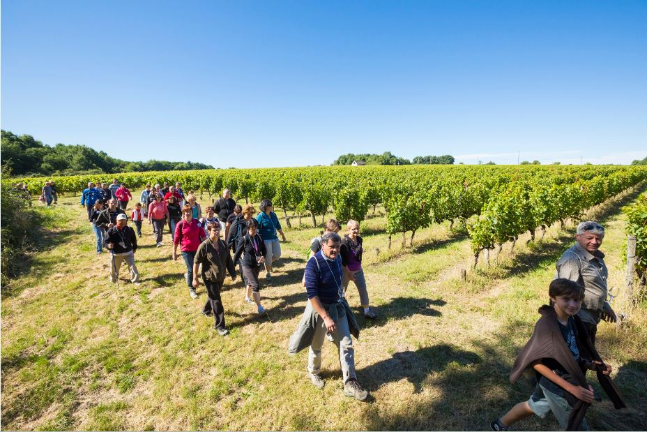 Week-end VIGNES VINS RANDOS