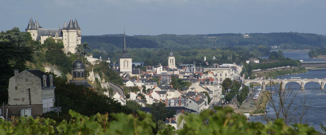 vins de saumur apppellations