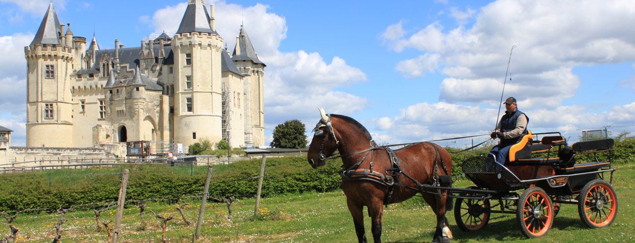 itineraire du vin