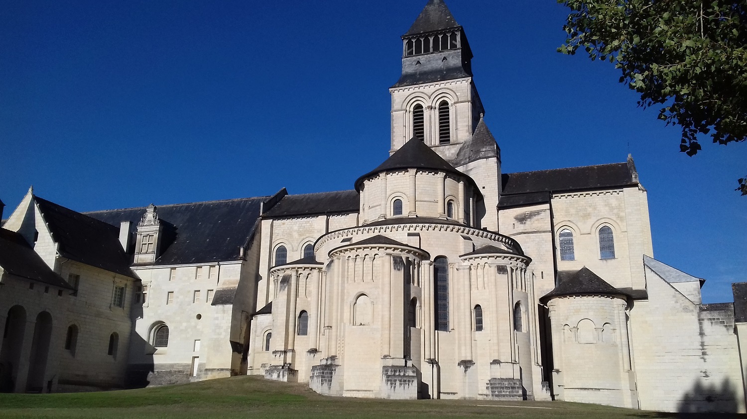 Vin & Patrimoine avec l'AOC Saumur-Champigny