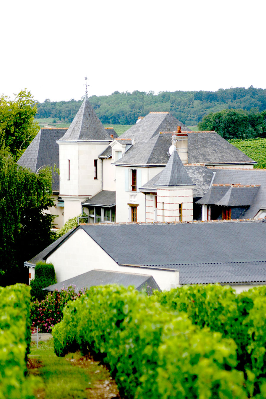 Domaine Ratron - Clos des Cordeliers