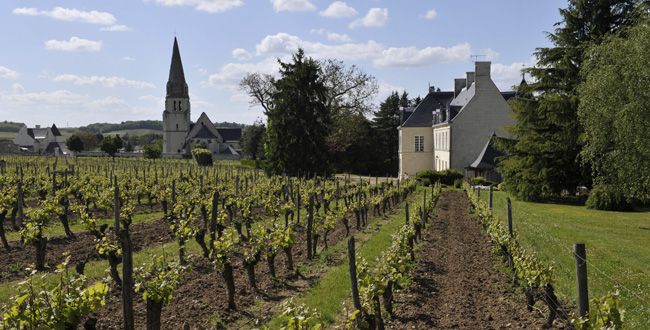 Château de Villeneuve