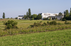 Lycée Viticole Edgard Pisani 