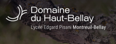 Domaine du Haut Bellay
