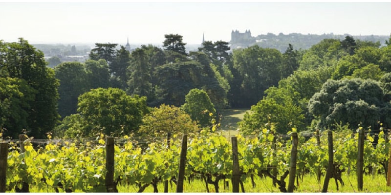 Domaine de St-Just