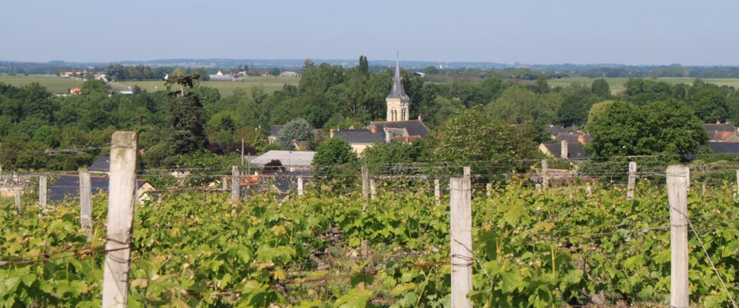 Saumur rosé