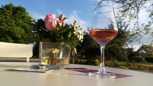 Domaine du Haut Bellay_po