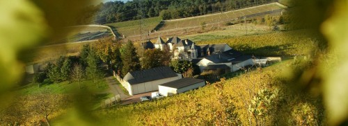 Clos des Cordeliers_RANDO