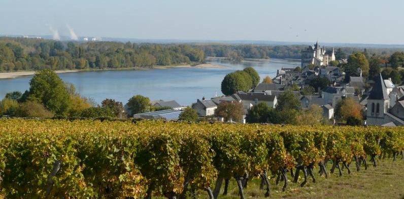 Domaine Bruneau