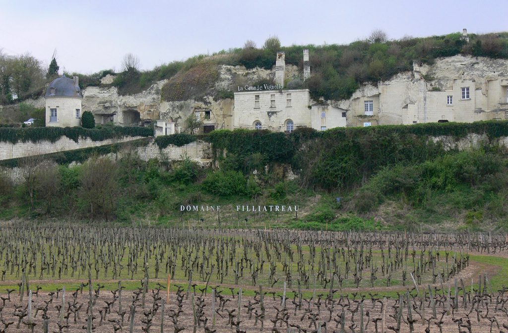 Domaine Filliatreau - La Grande Vignolle
