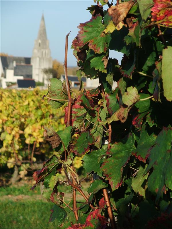 Domaine des Méribelles