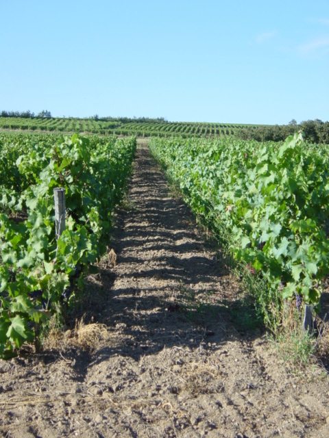 Domaine Gérard Leroux