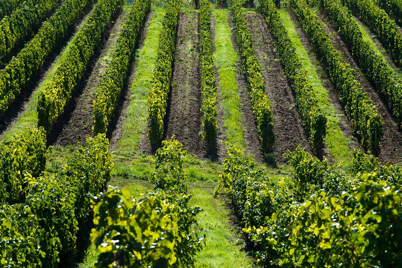 Domaine des Deux Arcs